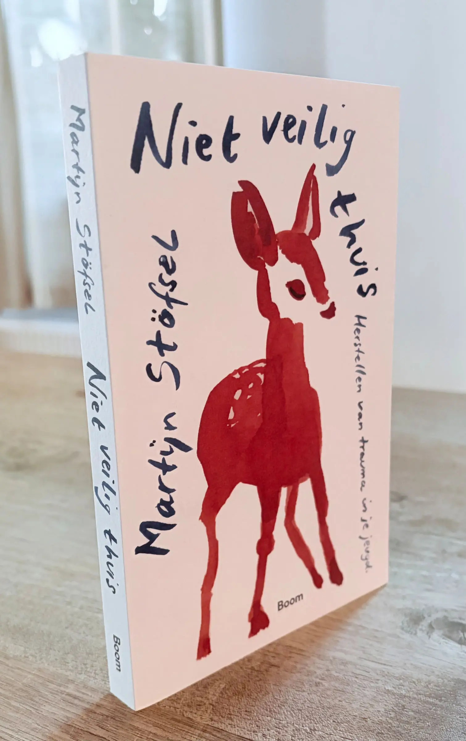Niet veilig thuis, een boek van Martijn Stöfsel.